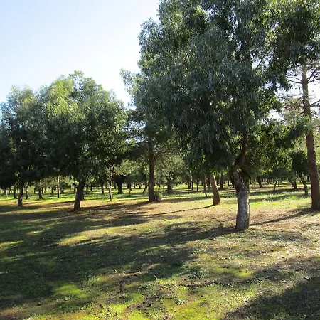 Maria Farm stay