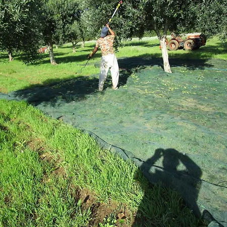 Farm stay Maria *